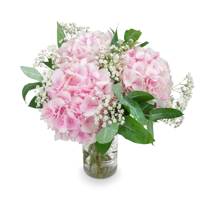 bouquet of hydrangeas
